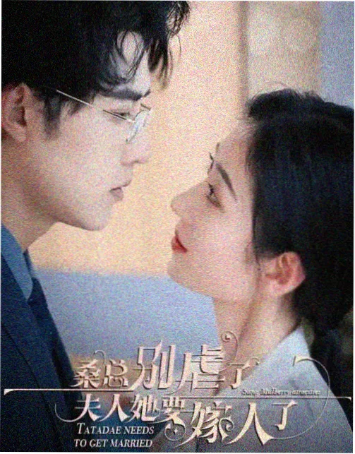 电视剧排行榜-大唐狄公案